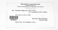 Image Associated With the Occurence